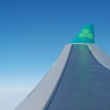 Aer Lingus Cabin Crew To Strike May 30th Wing_0587