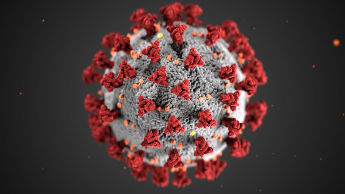 coronavirus-cdc